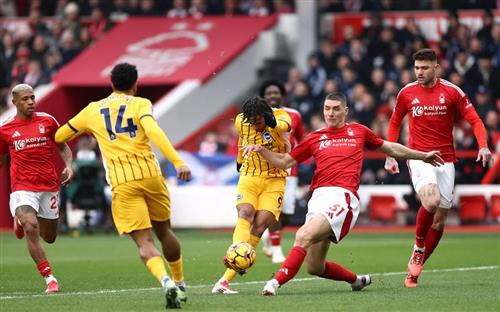Nottingham Forest gegen Brighton