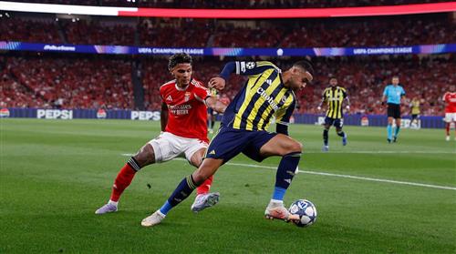 Benfica gegen Fenerbahce