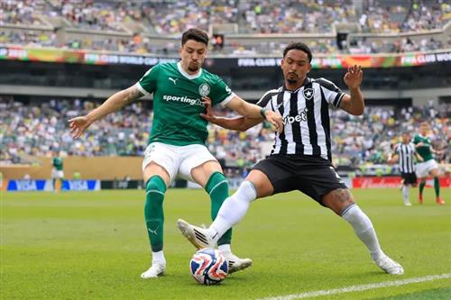 Palmeiras gegen RJ Botafogo