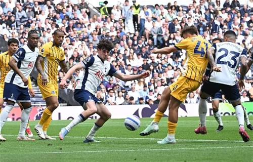 Tottenham Hotspur gegen Brighton